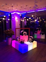 Cubi Luminosi LED Personalizzati con Logo Stampato, IP65, per Esterni, Espositori Visivi per Centri Commerciali