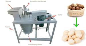 Upgrade Product Professional Nut <strong>Cracker</strong> <strong>Giant</strong> Nut <strong>Cracker</strong> Walnut Clip Nut <strong>Cracker</strong> - Product Image 6