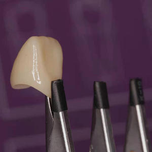 Herramientas de Técnico Dental, Pinzas de Porcelana de Seis Dientes para Carillas de Corona Única Estéticas, Accesorios para Equipos de Terapia Oral - Product Image 5