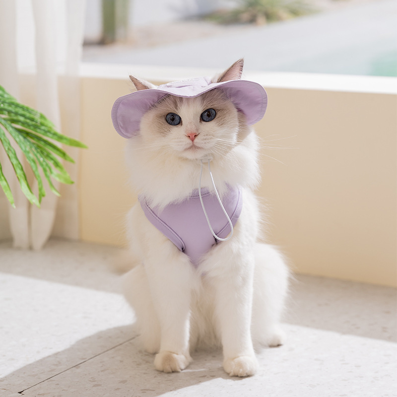Pourpre