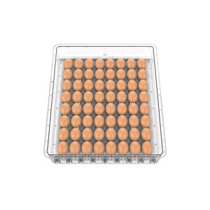 이중 전력 공급 가금류를 위한 높은 부화 비율 192 수용량 계란 부화기 - Product Image 6