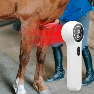 Veterinaire Fysiotherapie Koude Lasertherapie Apparaat 808nm + 650Nm Voor Het Verlichten Van Pijn En Lichaamspijn - Product Image 4