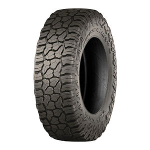 Neumático de Caucho 305/55 R20 121/118Q WILDPEAK R/T R01 - Product Image 1