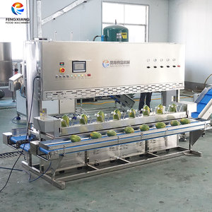 Máquina peladora de mangos FENGXIANG de 8 estaciones para planta de procesamiento de frutas con control PLC y diseño multifuncional - Product Image 2