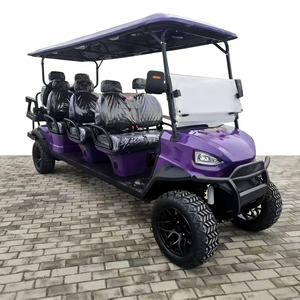 Carrito de Golf de 2 Plazas con Diseño de Iluminación de Nivel Automotriz de Marca, Remolques para Carritos de Golf - Product Image 1