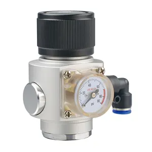 Mini constant pressure CO2 gas regulator