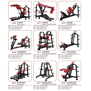 Equipo de Gimnasio Comercial con Carga de Placas - Máquinas de Press de Pecho, <span class=keywords><strong>Remo</strong></span> Bajo y Hip Thrust para Entrenamiento de Fuerza de Brazos, Piernas y Cuerpo Completo - Product Image 3