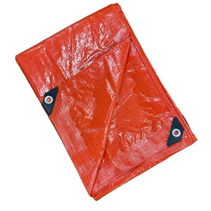 Bâche en PE enduite, bâche <span class=keywords><strong>de</strong></span> <span class=keywords><strong>peinture</strong></span> avec doublure adhésive pour garçons et filles - Product Image 1