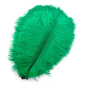 Green Ostrich Feathers For Crafts Stage Props Decoration Handicraft Accessories Table Centerpiece Plumes Carnival DIY Decoration