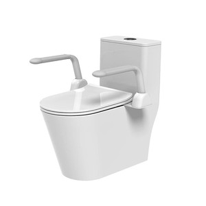 Mô Hình Mới Nhất Nhựa Lan Can Cho Phòng Khách Sạn Khách Sạn Bệnh Viện Người Già Khuyết tật An Toàn Hỗ Trợ Cho Tăng Nhà Bếp Phòng Ăn Phòng Tắm - Product Image 5