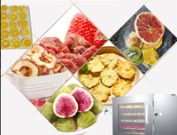 Deshidratador de Alimentos Comercial de 12 Capas, Secador de Frutas y Verduras, Horno de Secado de Alimentos por Aire para el Hogar