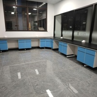 Banc de laboratoire moderne en acier et bois résistant aux produits chimiques pour les postes de travail biologiques des écoles et des hôpitaux