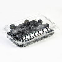 Kotak Kemasan Plastik PET Transparan Food Grade untuk Buah Segar Stroberi dan Blueberry, Ukuran 1lb/1.5lb/2lb