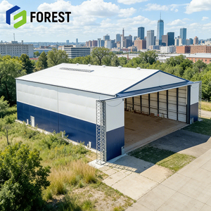 Solución Llave en Mano Duradera: Hangar Industrial de Estructura de Acero Q355B para Aviación, Suministro Global - Product Image 1