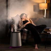 Stérilisation par chauffage vapeur métal aluminium grande capacité OEM nouvel humidificateur ultrasonique électrique professionnel sans fil 13L