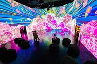 Environnement de projection interactif immersif AR personnalisé, système de jeu mural et de sol numérique pour aire de jeux intérieure