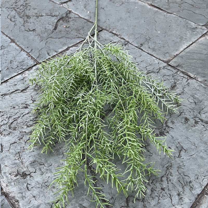 New high-branch pine needles-light green
