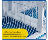 Cage d'accouplement pour pigeons haut de gamme, multi-niveaux, avec plaque en fer renforcée et conception anti-évasion, pour l'élevage, l'observation et l'utilisation en colombière