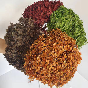 Arreglo <span class=keywords><strong>de</strong></span> flores <span class=keywords><strong>de</strong></span> hortensia Anna preservado natural hecho a mano precio <span class=keywords><strong>de</strong></span> fábrica para el día <span class=keywords><strong>de</strong></span> la madre - Product Image 2