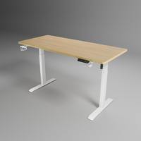 Bureau debout électrique réglable en hauteur YZ Modern avec colonnes de levage en acier inoxydable pour usage commercial