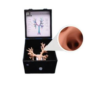 Broncoscopy training modello principale vie aeree Bronchi operazione intervento endoscopio respiratorio allenamento broncoscopio flessibile - Product Image 1