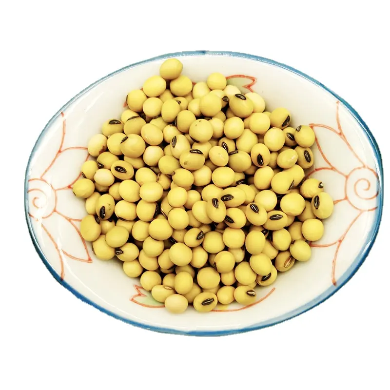 Sac de 25kg de graines de soja jaunes sèches de qualité alimentaire soja sans OGM