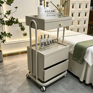 Carrito Móvil Metálico Moderno para Salones de Belleza y Clínicas Estéticas, Carrito de Almacenamiento de 4 Ruedas para Procedimientos Cosméticos y Cuidado de la Piel - Product Image 3