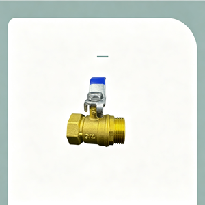 Robinet à levier en acier inoxydable 304, 1 pièce, filetage NPT femelle, pour coupure de circuit d'eau, pleine ouverture, étanche, durable - Product Image 4