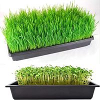 10 plateaux de semis de 20 x 10 pouces pour jardinage d'intérieur, semis de graines, semis en plastique PE, hydroponie, sans terre