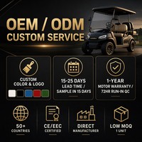 Carrito de Golf Eléctrico Tarion de 4 Plazas, Motor de CA de 4.0kW, Autonomía de 80-100 km, Suspensión MacPherson, Freno de Doble Circuito, OEM ODM, 35 km/h