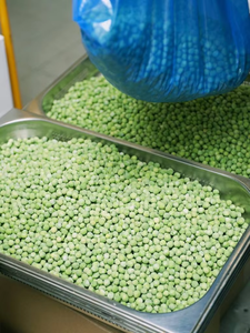 IQF haute qualité OGM surgelés pois <span class=keywords><strong>verts</strong></span> légumes <span class=keywords><strong>haricots</strong></span> HACCP certifié 10kg toute l'année - Product Image 2