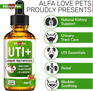 Gocce Personalizzate OEM per il Sollievo da Infezioni del Tratto Urinario degli Animali Domestici, Formula Naturale a Base di Erbe, Supporta la Salute della Vescica, Vendita all'Ingrosso - Product Image 6