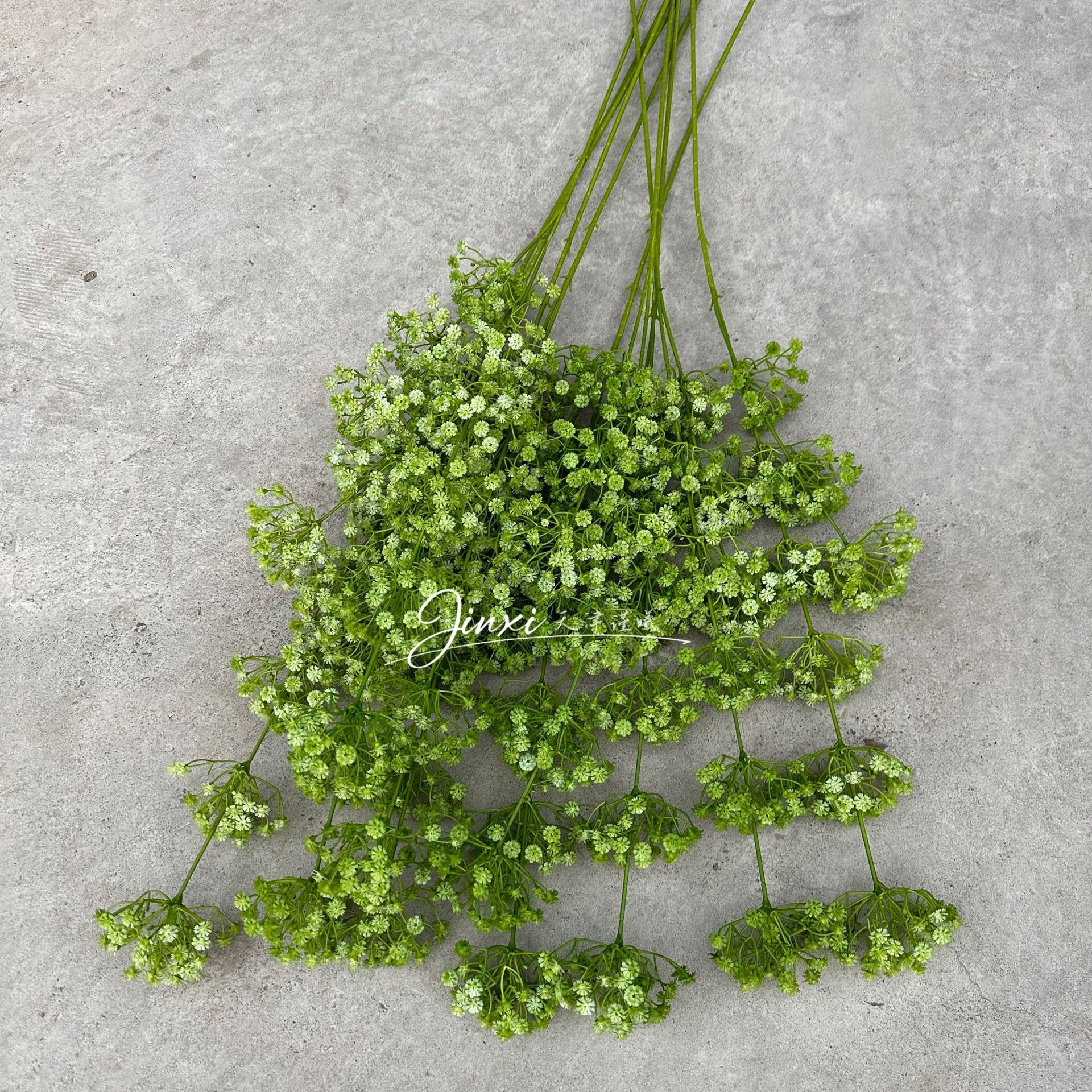 Vert étoilé à deux fourches, 130 cm