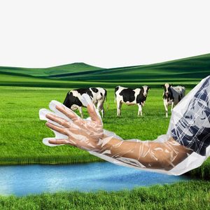 Gants d'insémination vétérinaire à bord thermosoudé 90 cm, manchons jetables en PE anti-fuite pour tests prénatals des animaux de grande taille - Product Image 6