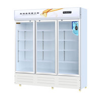 Réfrigérateur commercial à porte vitrée silencieux pour boissons, vitrine réfrigérée pour supermarché, présentoir de boissons