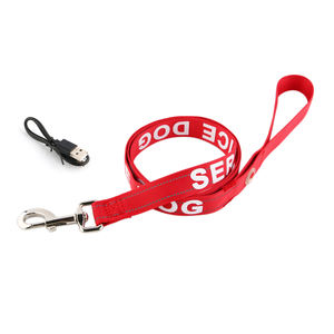 Usine USB Type C Rechargeable LED Chien Laisse Lumière Rougeoyante Trois Modes <span class=keywords><strong>Flash</strong></span> Nylon Clignotant Chien Laisse pour Rubans Personnalisés - Product Image 1