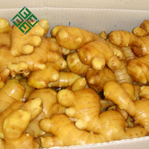 <strong>Ginger</strong> <strong>Exporters</strong> China / Buy Chinese <strong>Ginger</strong> - Product Image 4