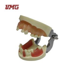 Modelo de Práctica de Implantes Dentales UMG UM-2003 con Encía Suave para Prácticas de Corte, Sutura e Implantes, Certificado CE - Product Image 5