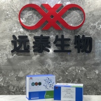 Kit de recherche ELISA pour la dipeptidylpeptidase-4 humaine (DPP-4)