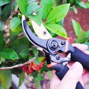 House Backyard Park Trees Plants Trimming Professional Premium Bypass Pruning Shears Hand Pruners Garden Clippers