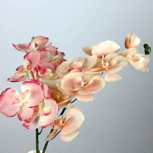 Flores de Orquídea Phalaenopsis de Seda de Lujo con <span class=keywords><strong>8</strong></span> Cabezas, Tacto Real, para Decoración de Bodas, Flor de Orquídea Artificial - Product Image 3