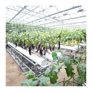 גידול נוץ nft צינור צינור צינור pvc מרובע חקלאות הידרופונית - Product Image 2