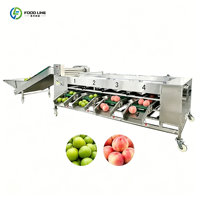 Optische fruit sorteermachine mango fruitsorteermachine sorteermachine