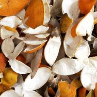 Ramuan Cina kulit jeruk kering, teh herbal Chen Pi kulit jeruk kering 100% kulit jeruk kering alami