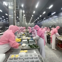 Traditioneller Authentischer Gefrorener Gemüse-Snack, Verzehrfertig, Premium Großhandel, Mikrowellengegart, Chinesische Gedämpfte Gemüse-Mais-Brötchen