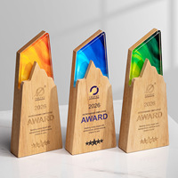 Trophée en cristal entièrement personnalisé en bois massif avec impression couleur motif sommet de montagne pour cérémonie de remise des prix, souvenir d'honneur