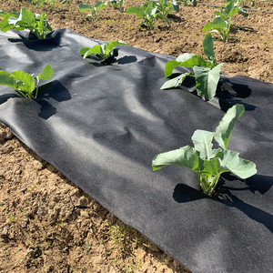 Tela no tejida spunbond PP para agricultura, tejido negro con UV 1%-6%, para agricultura - Product Image 2