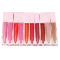 Cosmétiques de marque privée végétaliens Rouge à lèvres liquide rouge Brillant à lèvres brillant en gros