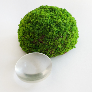 Lente óptica Lente biconvexa Lente de vidrio convexa doble 9MM <span class=keywords><strong>25mm</strong></span> 42mm 45mm 500mm 38mm 500mm 150mm Longitud focal - Product Image 1