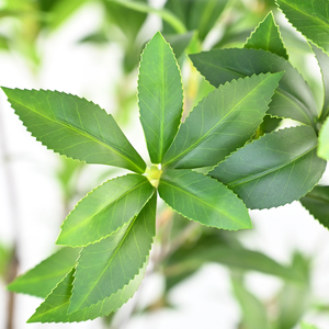 Plante Artificielle en Pot de <span class=keywords><strong>Pieris</strong></span> Andromeda et Muguet Japonais en Gros pour Décoration d'Hôtel, Mariage et Salon - Product Image 2